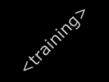 Training in Internet-Anwendungen.
